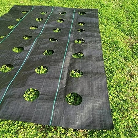 Agfabric Easy-Plant Weed Block for Raised Bed Outdoor Garden Weed Rugs Garden mat 3.0oz, 3'x12',with Planting Hole Dia 4