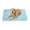 Blue, variant on Darzheoy Pet Cooling Mat for Dogs Cats, Ice Silk Dog Cooling Mats, Dog Cooling Pads, Portable & Washable Pet Cooling Blanket for Kennel/Sofa/Bed/Floor/Car Seats