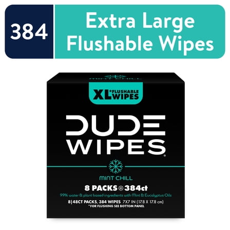 DUDE Wipes Mint Chill, Extra Large Flushable Wipes, 48 Count, 8 Pack (384 Total)