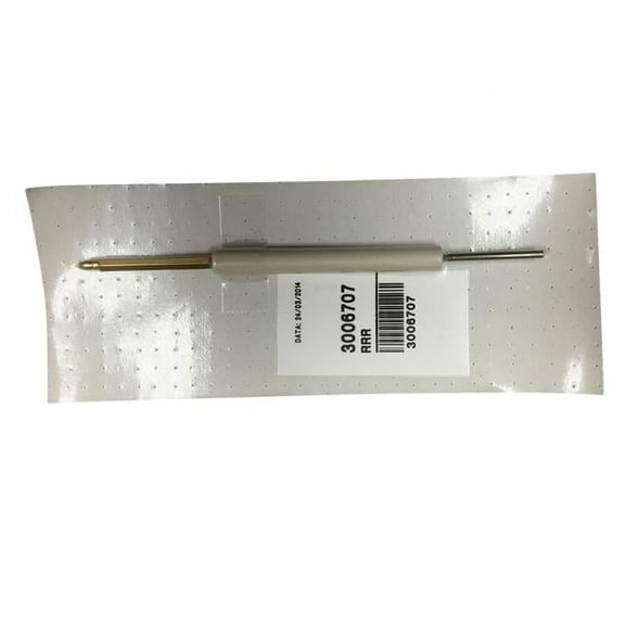 Riello 3006707 Ionization Assembly For G200 Burner With 6" Shorty Tube