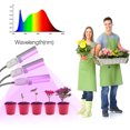 thumbnail image 2 of Amdohai Ampoule Led Grow Light Grow pour Plantes d'Intérieur 30W, 2 of 7