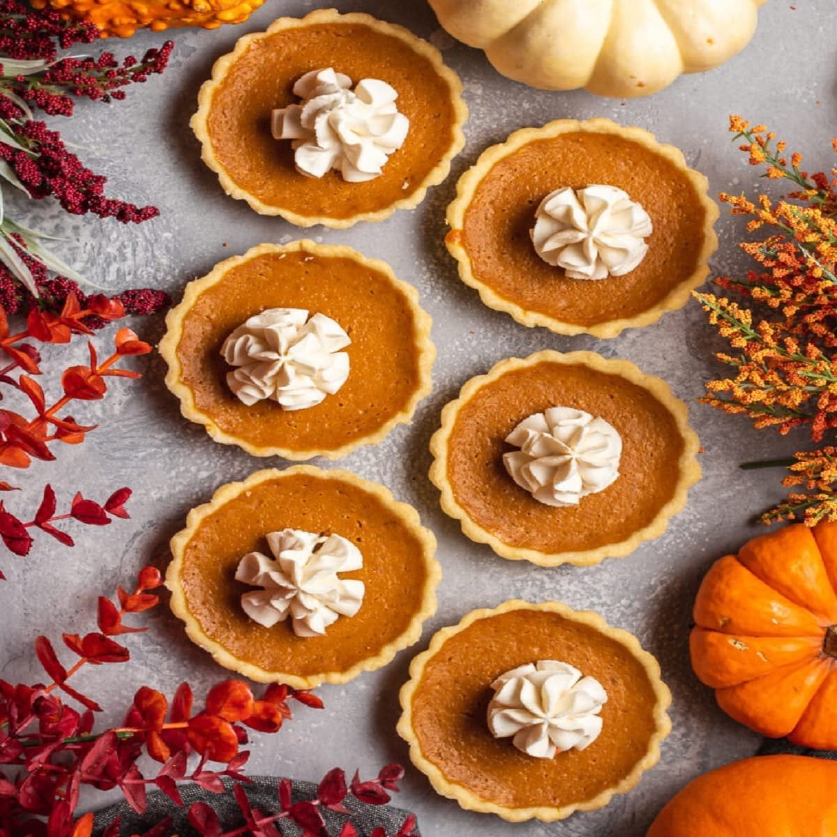 Ginger Pumpkin Tart Fragrance Oil Our Version of The Brand Name 16 oz Bottle for Candle Making, Soap Making, Tart Making, Room Sprays, Lotions, Car Fresheners, Slime, Bath Bombs, Warmers