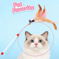 thumbnail image 3 of BESTSKY 3Pcs Interactive Cat Toy,Pop-Up Fun Interactive Cat Toys,Adjustable Length Play Kitten Toys,Style2, 3 of 7
