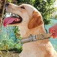 thumbnail image 3 of Reflective Dog Heavy Metal Buckle Collar with Handle Adjustable Nylon Pet Collar for Medium and Large Dogs Training (Brown,XL ), 3 of 3