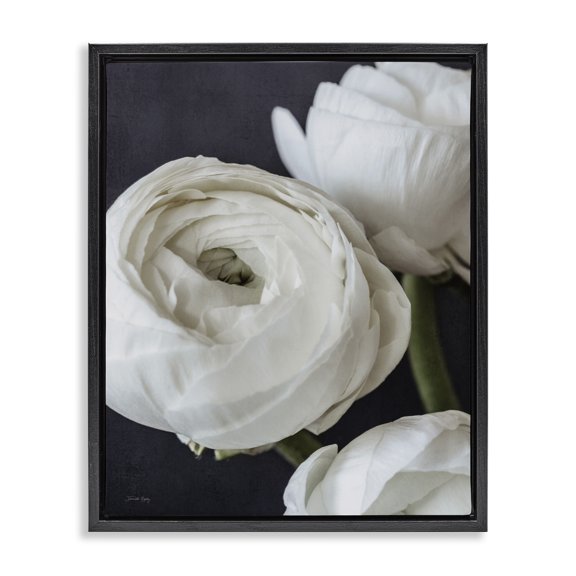 Stupell Industries Traditional Budding Ranunculus Flower Blooming Close Up Petals Black Floating Frame Canvas Art, 17 x 21, by Jennifer Rigsby