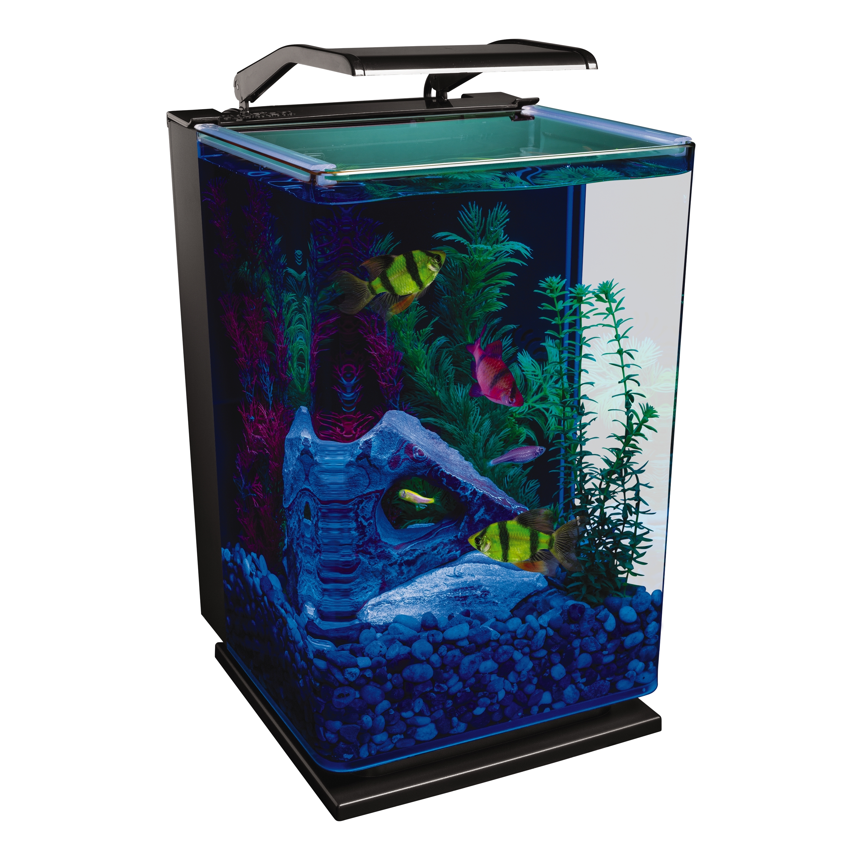 GloFish 5 Gallon Aquarium Starter Kit with LED Lighting photo 7