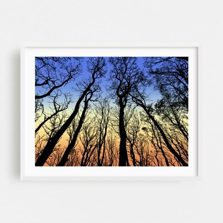 View From The Bottom Of The Forest Trees - Digital Art Silhouette Sunset Woods Forest Nature Autumn Scenic White Framed Wall Art Print 11 x 14 inches