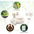 thumbnail image 7 of Biodegradable Paper Plates Set (EXTRA LONG UTENSILS), Disposable Dinnerware Set, Eco Friendly Compostable Plates & Utensil include Plates, Forks, Knives and Spoons for Party, 7 of 7