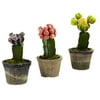 Nearly Natural Colorful Cactus (Set of 3)