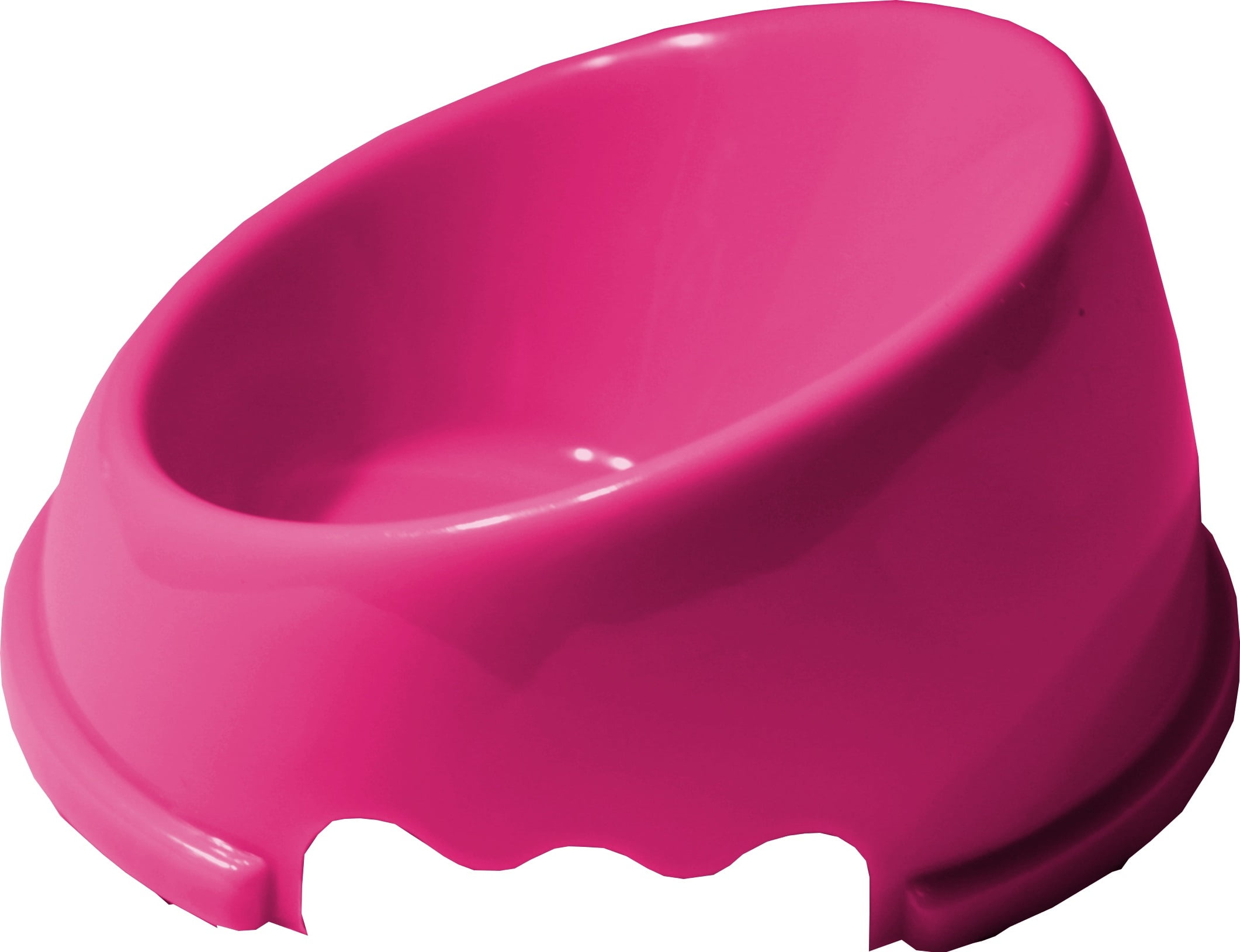 Food bowls top for persian cats