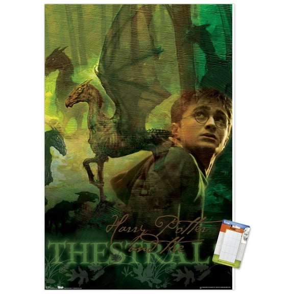 Harry Potter and the Order of the Phoenix - Thestrals Wall Poster, 14.725" x 22.375"
