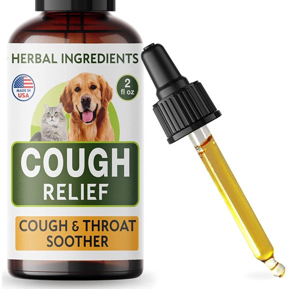 Kennel Cough Home Treatments