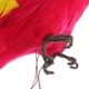 thumbnail image 3 of Adorno de loro simulado para jardín, adorno decorativo para jardín, decoración de jardín, 3 of 8