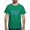 Kelly Green, variant on CafePress - First Time Grandpa 2 T Shirt - Men's Classic Cotton T-Shirts