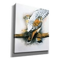 thumbnail image 2 of Epic Graffiti 'Elegant Raptor' by Barbara Keith, Canvas Wall Art, 26"x30", 2 of 8