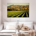 thumbnail image 2 of Elephant Stock Blenheim Vineyard Wall Art - Horizontal Canvas Wall Art - Living Room Wall Decor - Nature Canvas - Gold And Green Decor - 48" x 32", 2 of 8
