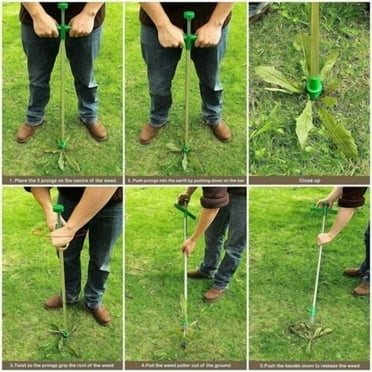 Weed Puller, Stand Up Weeder Manual Weed Puller Stainless Steel Hand Tool with High Strength 3 Claws