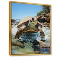 thumbnail image 2 of Designart "The Serenity Of A Turtle By The Coast" Animals Turtle Floater Framed Canvas Prints, 2 of 5