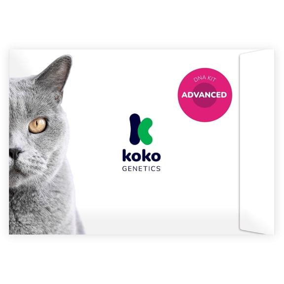 Koko DNA Test for Cats | Advanced Range | 150 Breeds, Health & Traits Reports | All Fees Included