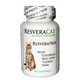 thumbnail image 1 of Suplemento para gatos CurEase ResveraCat Resveratrol Trans en polvo, 1 of 2
