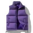 thumbnail image 3 of Men's Thickened Colorblock Full Zip Vest Fall Winter Warm Lightweight Stand Collar Sleeveless Vest for Outdoor Activities Gift,Purple,S, 3 of 8