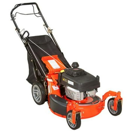 Ariens 911194 Classic Self-Propelled 3-In-1 Lawn Mower, Variable Speeds, Swivel Wheels, 179cc Engine, 21-In - Quantity