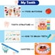 thumbnail image 4 of Freebear Montessori Busy Book for Kids, Human Body Anatomy Book for Toddlers, Preshool Kindergarten Learning Activities, Autism Sensory Toys, Travel Toys, Gifts for Girls and Boys 4 5 6 7 8 Years, 4 of 5