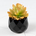 thumbnail image 2 of Artificial Succulent Plant Mini - Plastic Greenery Decoration Faux Potted Plant, 2 of 5