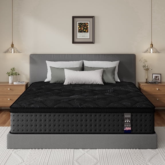 Lidnsejr 14" Queen Hybrid Mattress, Medium Firm Euro Top Mattress in a Box, Motion Isolation, Pressure & Back Pain Relief, Black