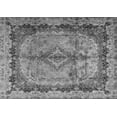 thumbnail image 1 of Ahgly Company Indoor Rectangle Persian Gray Traditional Area Rugs, 7' x 9', 1 of 1