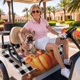 thumbnail image 3 of Golf Cart Seat Covers for 2 Seater,Fall Pumpkins Microfiber Cart Seat Towel Blanket,Thanksgiving Sunflowers Leaves Retro Palid Absorbent NonSlip Bench Seats Protector for Golf Course 51"x31", 3 of 9