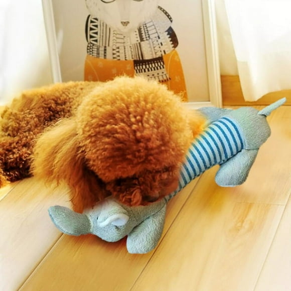 TIMIFIS Jouets pour Chats Nouveaux Jouets Intéressants pour Chiens Jouets en Peluche pour Chiots Jouets Couineurs Cochons Canards Éléphants Jouets à Mâcher pour Animaux Jouets pour Chiens Mâcheurs Agressifs - Été