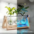 thumbnail image 2 of Light Up Bamboo Air Planter - Plant Lover Gifts for Women, Unique Christmas Gift, Best Indoor Gardening Housewarming Office Home Decor, Mom, Grandma, Her, Sister, Friend, Birthday, Garden Terrarium, 2 of 8