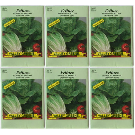 Valley Greene (6 Pack) Heirloom Variety Romaine Lettuce Seeds 350 mg/pack Non GE (Best Way To Store Romaine Lettuce)