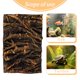 thumbnail image 3 of unbranded Panel De Para Reptiles Con 3D De Árbol Decorativa Multicolor, 3 of 6
