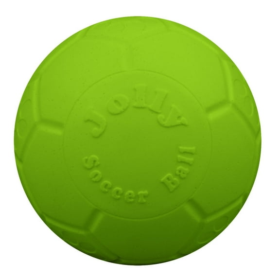 Jolly Pets Soccer Ball Green 6 inch Apple Scented Rubber Chew Toy for Dogs