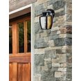 thumbnail image 2 of Breakwater Bay Neary 1-Light Outdoor Wall Lantern, 2 of 4