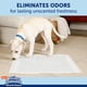 thumbnail image 5 of Almohadillas para perros Hartz Home Protection Miracle Guard XXL, 20 unidades, 5 of 8