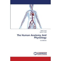 The Human Anatomy And Physiology (Paperback)