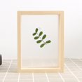 thumbnail image 4 of Plant Photo Frame Double Sided Glass Picture Frames Pressed Dried Flowers Display Modern Wedding Wall Table Decoration - 15.7x20.8cm, 4 of 10