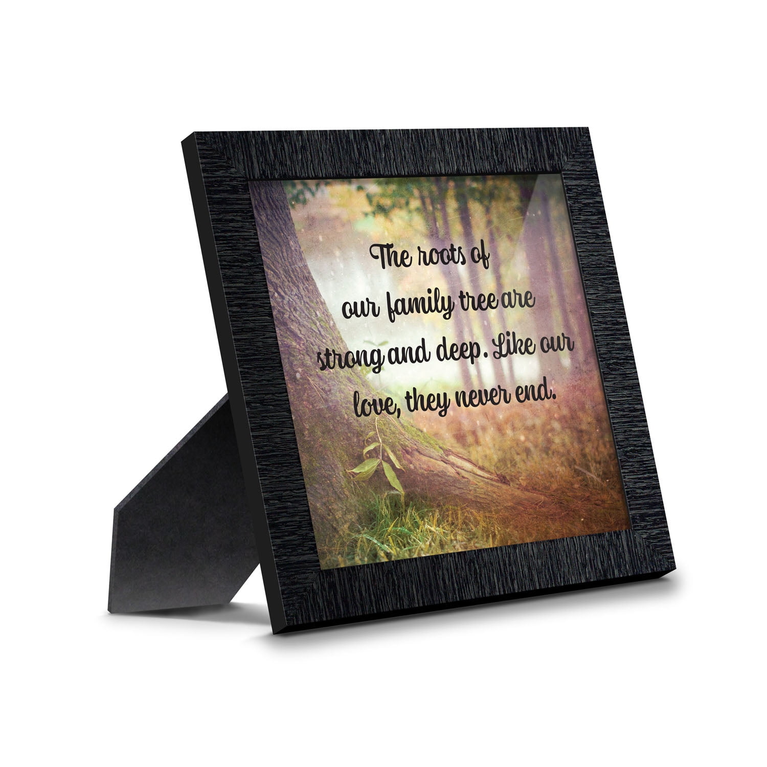 Our Roots, Inspirational Wall Art Decor, Reunion or Family Picture ...