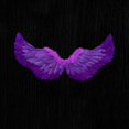 thumbnail image 1 of Hbdhejl Performance sur Scène avec Plumes d'Ange pour Festivals et Carnavals, 1 of 4