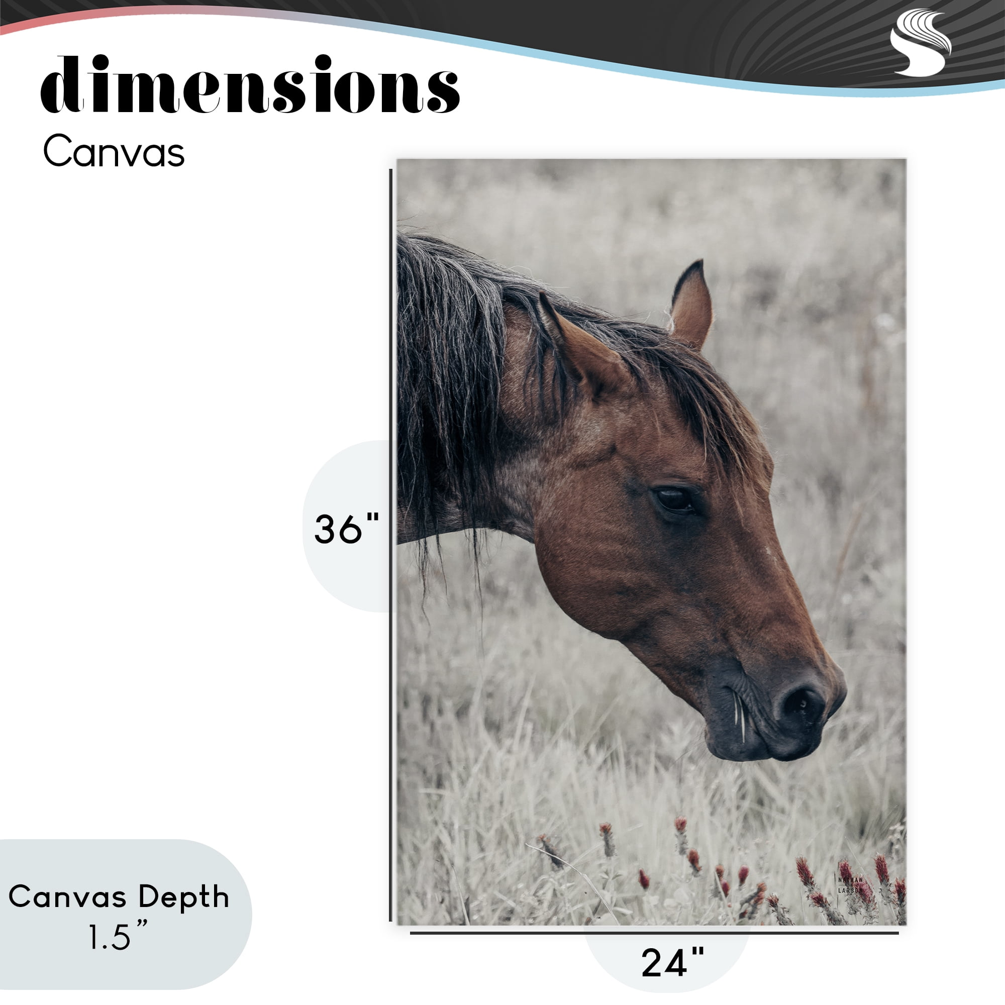 Stupell Industries Mother Horse Grazing in Meadow Canvas Wall Art, design by Nathan Larson