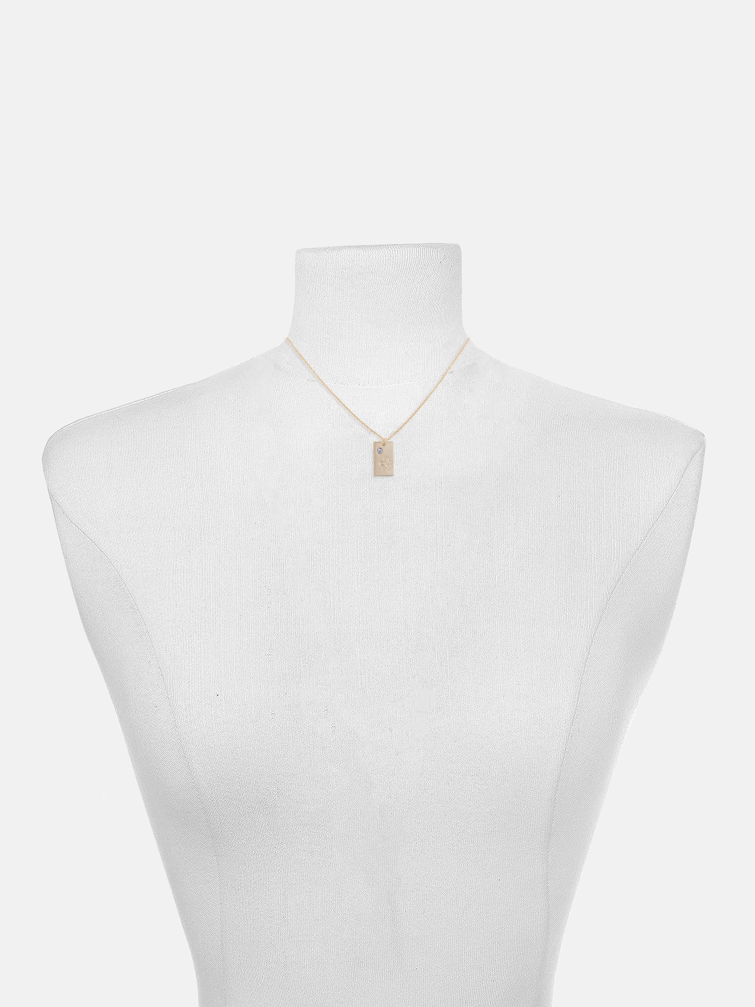 Time and Tru Women's Goldtone Necklace, February Birthstone