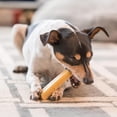 thumbnail image 5 of Kathmandus Authentic Himalayan Cheese Natural Dental Chews for Dogs, Small, 10 Chews Packet, 5 of 9