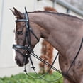 thumbnail image 3 of Naiovety El negro mejora la precisión del entrenamiento de caballos con riendas ecuestres ajustables, equipo para montar a caballo Cuidado ecuestre y deportes, 3 of 6