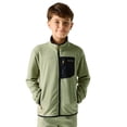 thumbnail image 4 of Regatta Boys/Girls Frankie Full Zip Fleece Jacket, 4 of 5