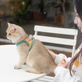 thumbnail image 4 of Pawras Cat Harness and Leash, Escape-Proof Vest Cat Harness and Leash, Breathable Soft Adjustable Escape Proof Cats Leash for Outdoor Walking, 4 of 9