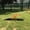 Natural wood, brown, green, variant on PawHut Wooden Dog Agility Seesaw for Training and Exercise, Platform Equipment Run Game Toy Weather Resistant Pet Supplies, Natural