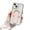 Pink, variant on LHNUNP for iPhone 16 Pro Max Case, Magnetic Clear Case with Foldable Kickstand, Shockproof Slim Phone Cover with Strong Magnet Support, Orange